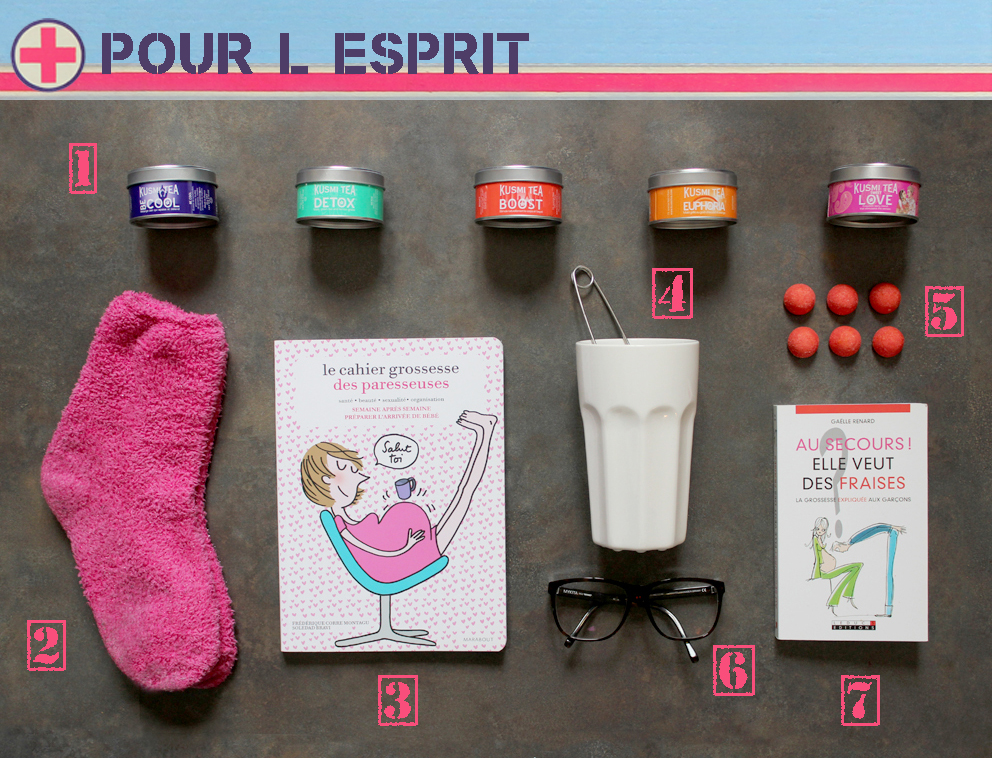 Kit de survie d'une future maman - Le Monde de Bibou