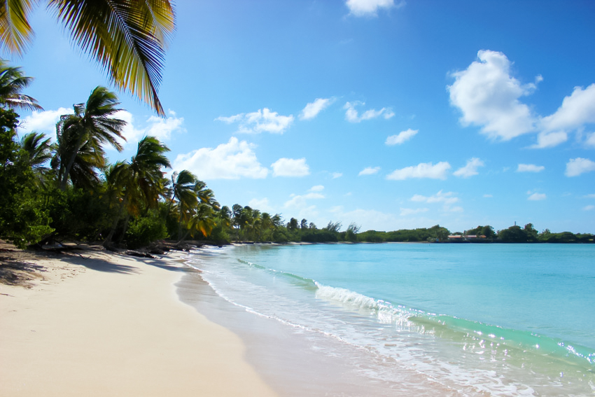 vacances Martinique blog voyage Artlex