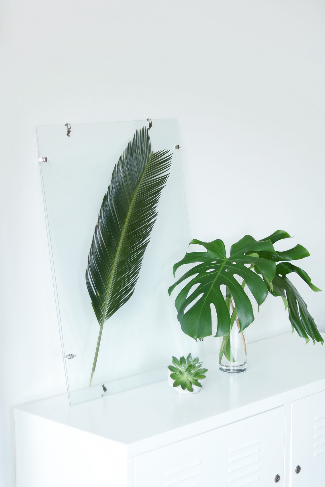 DIY-cadre-feuille-tropicale