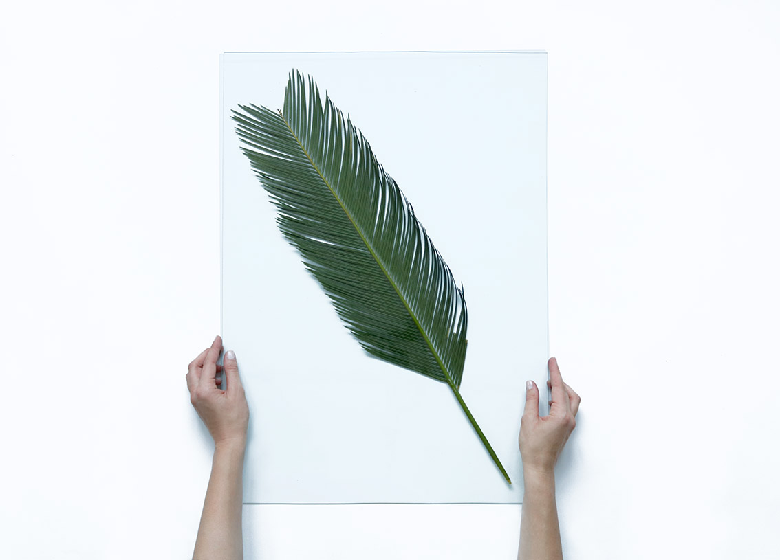 DIY-deco-feuille-tropicale