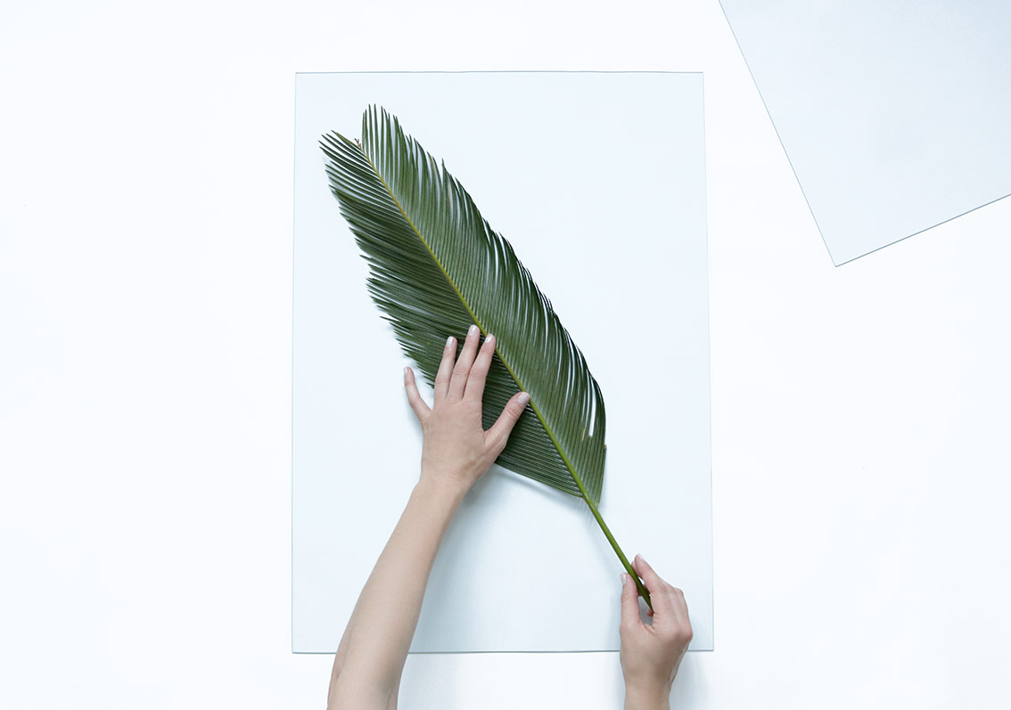 feuille-tropicale-DIY-deco