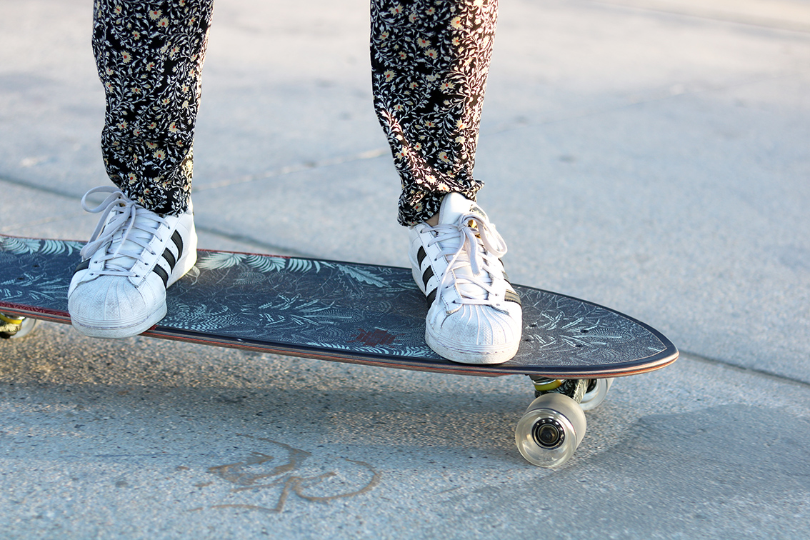 skateboard-venice-beach-californie