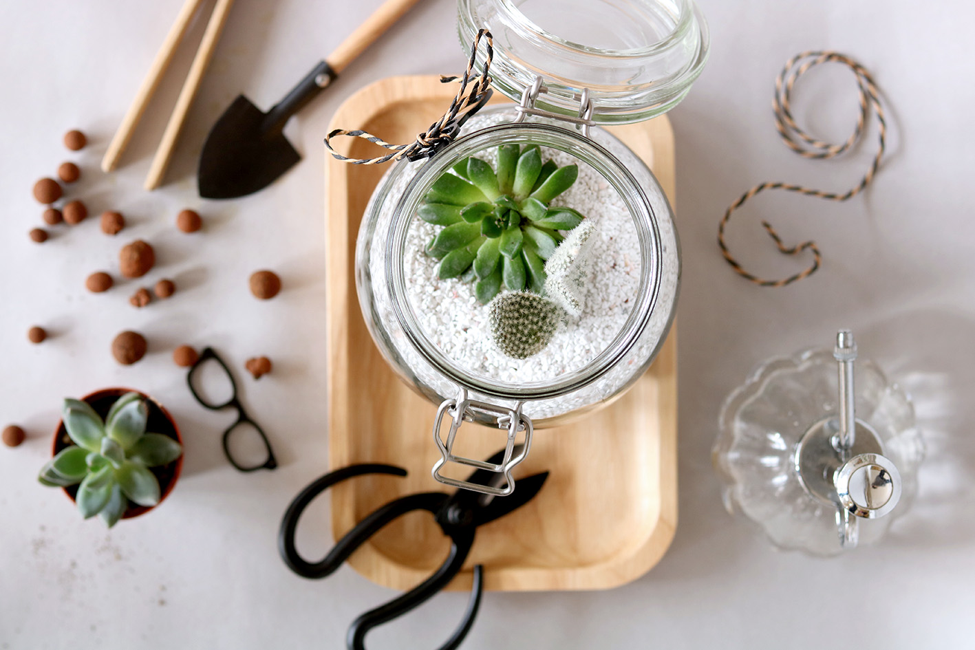 atelier terrarium lyon 