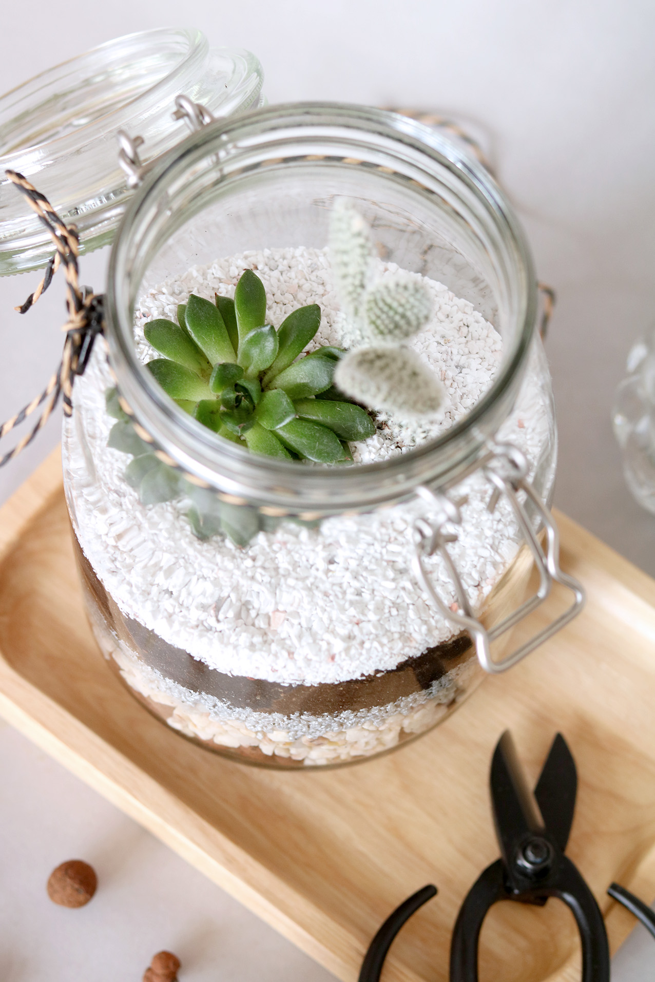 terrarium-DIY-blog-Artlex