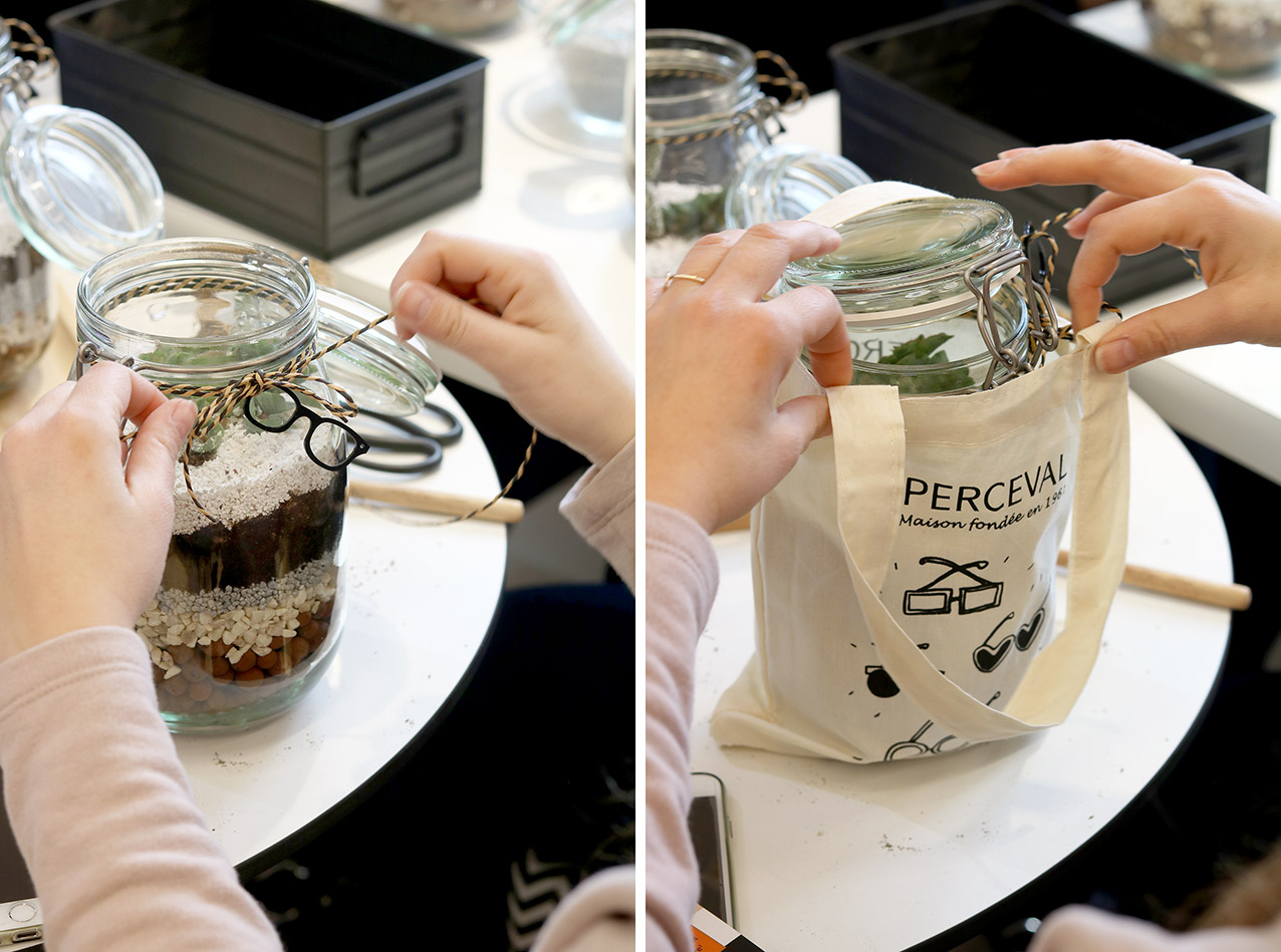 atelier-terrarium-opticiens-perceval