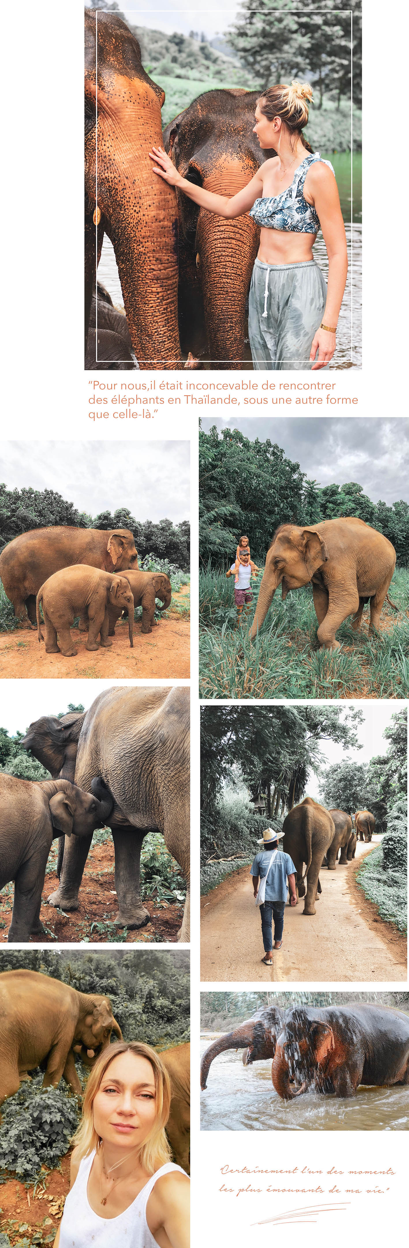 elephant-nature-park-chiang-mai