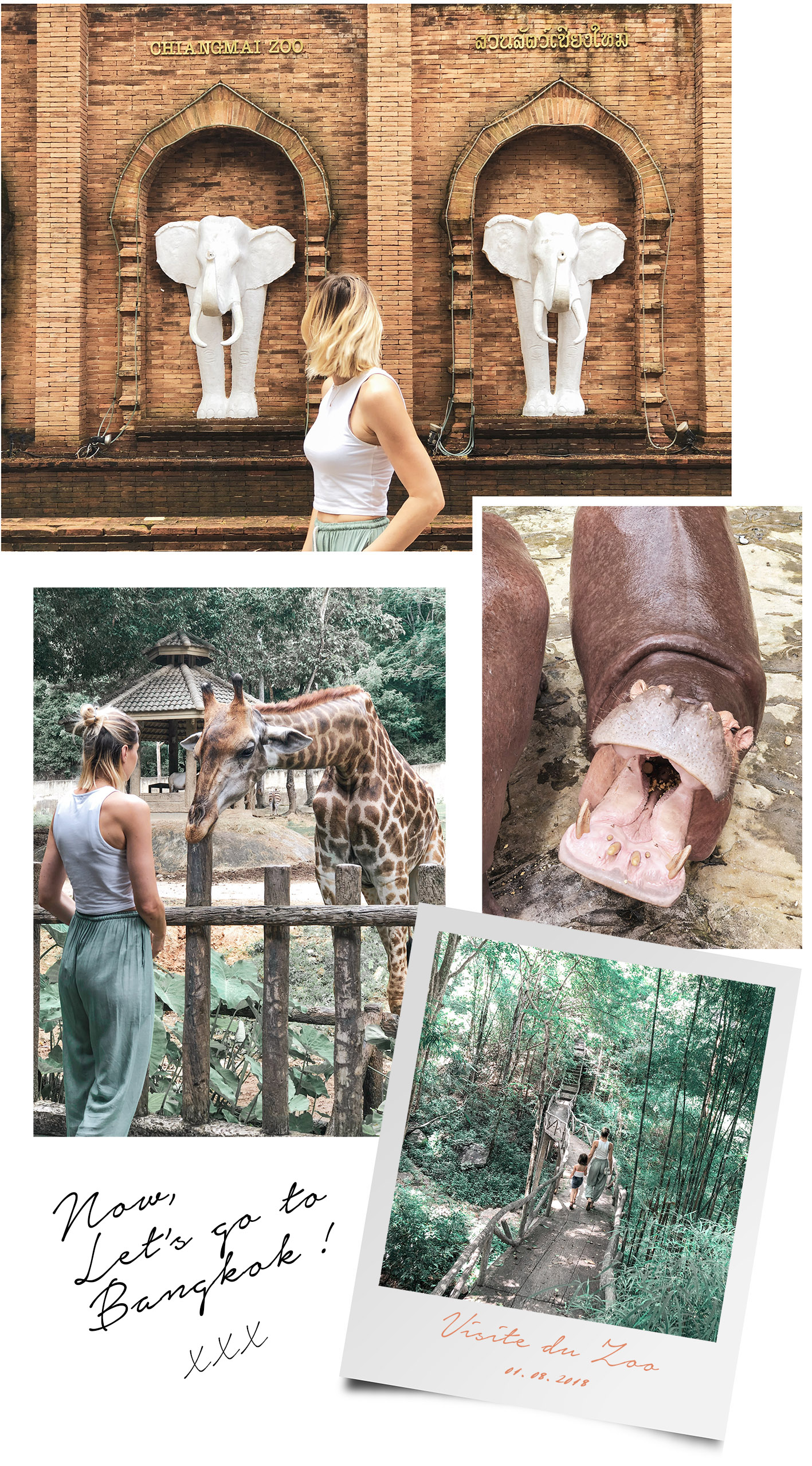 visite-zoo-chiang-mai