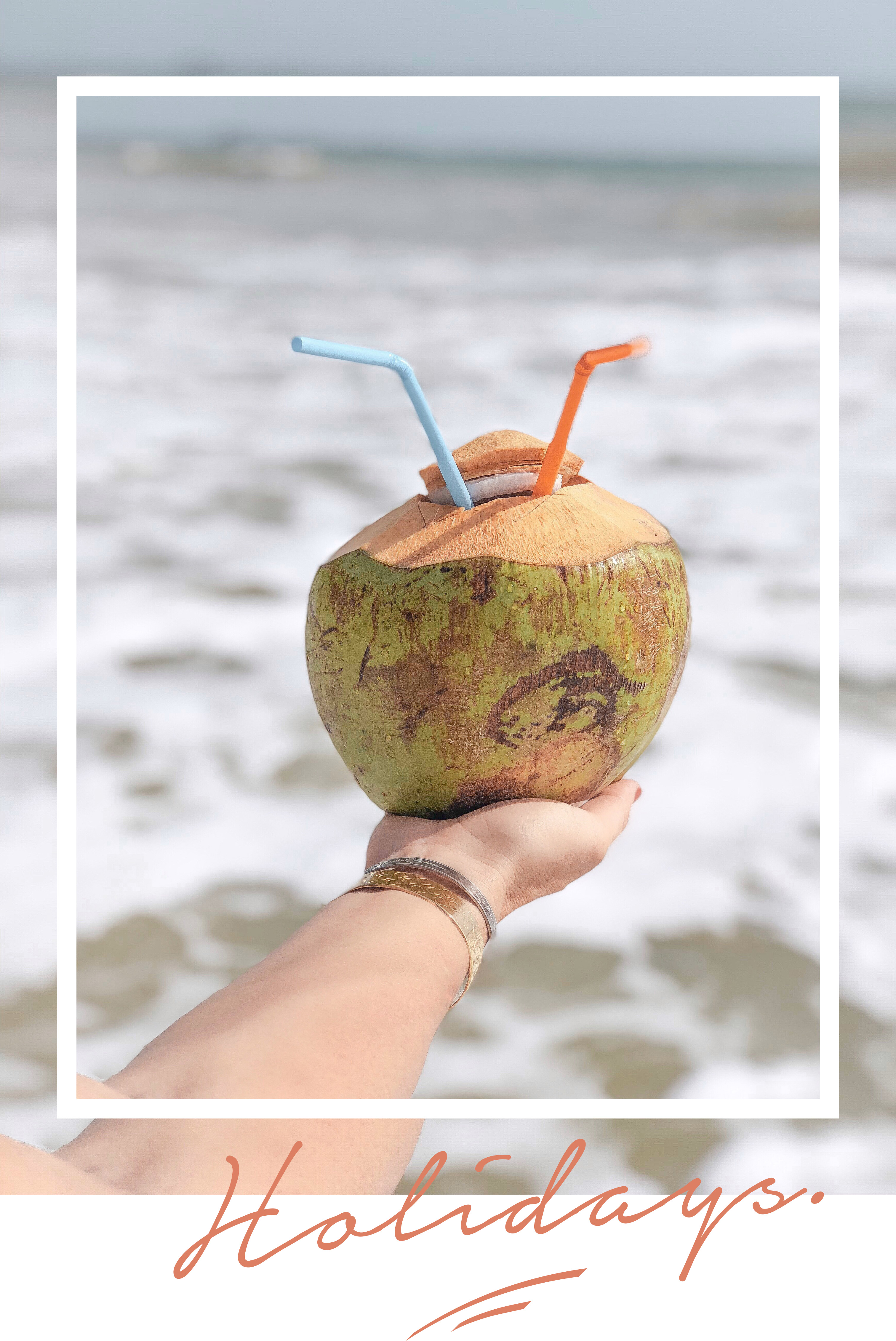 coconut-thailande