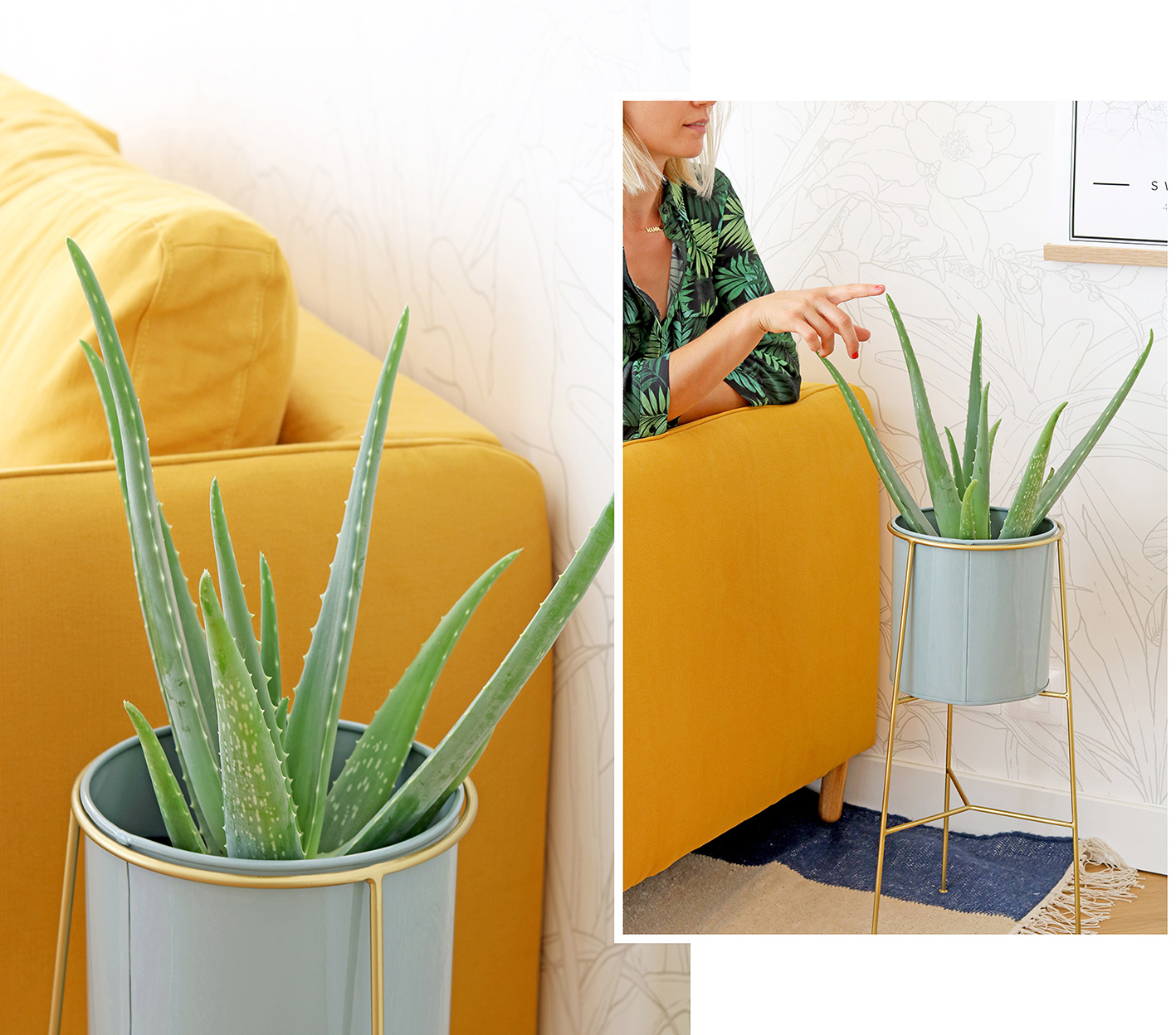 pot-plante-suspendu-design