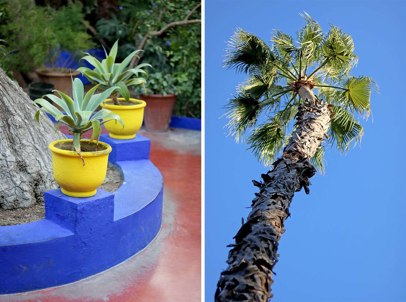 le-jardin-majorelle-marrackech