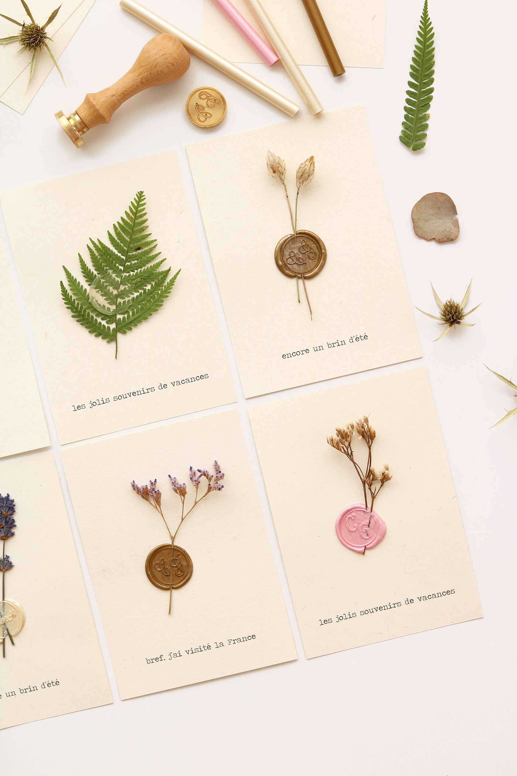DIY-herbier-carte-postale